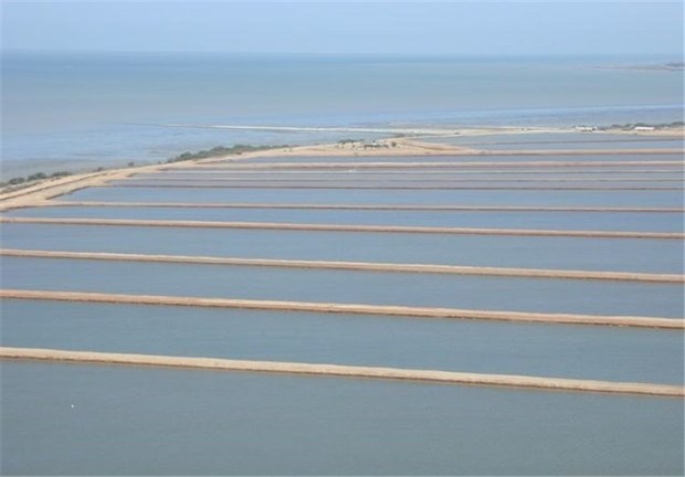 111میلیارد تومان به شیلات استان بوشهراختصاص یافت