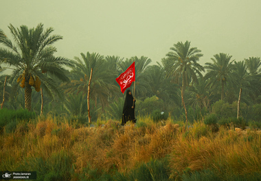 پادشاه کشور عشق