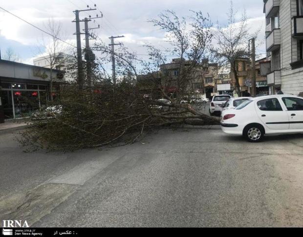 سرعت تندباد در پیرانشهر به 80 کیلومتر رسید