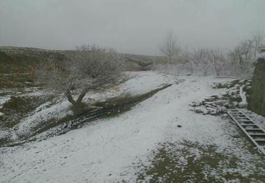 فرماندار خاش: دستگاههای عضو ستاد بحران آماده خدمت رسانی به مردم هستند