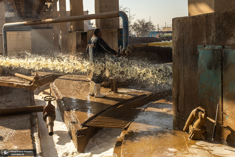 شوق شیرین تولید شکر / کارگران تولید قند و شکر