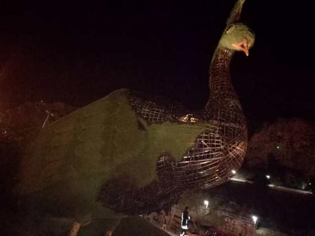 عامل آتش سوزی مجسمه طاووس در شیراز دستگیر شد