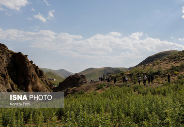 هریس، مجموعه ای از زیبایی‌ها