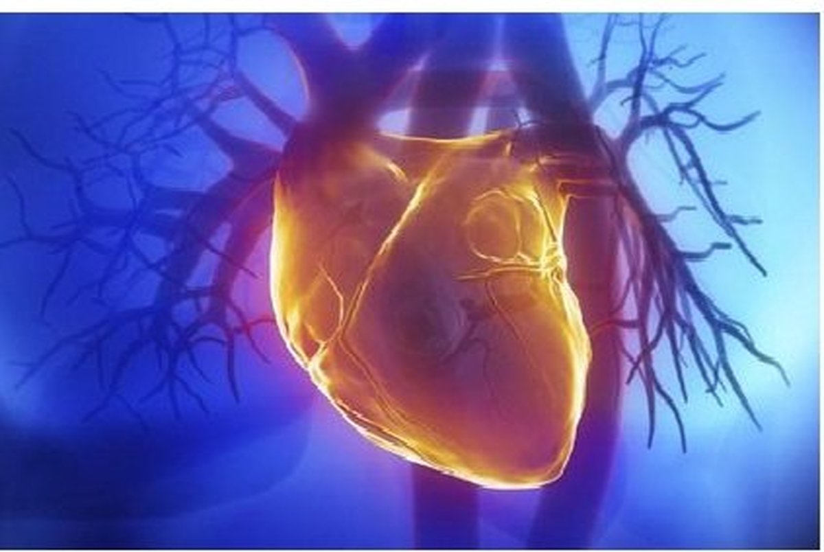 خطر حمله قلبی با کلسیم اضافی در خون 