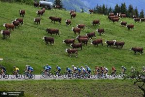 منتخب تصاویر امروز جهان- 17 خرداد 1400