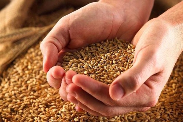 60درصد زکات استان قزوین به محرومان اختصاص می یابد