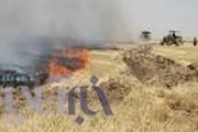 آتش زدن باقیمانده کاه و کلش باعث از بین رفتن مواد آلی در خاک و مزارع کشاورزی می شود
