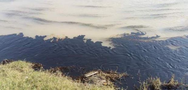 آلودگی رودخانه نیسان در دشت آزادگان