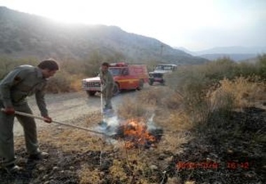 مهار آتش سوزی در نیزارهای پارک جزیره اهواز