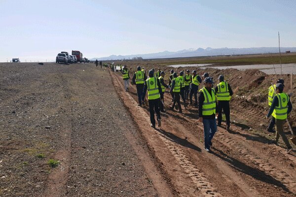 طرح عظیم کاشت ۱۰ هزار اصله نهال در جاده های قزوین عملیاتی شد