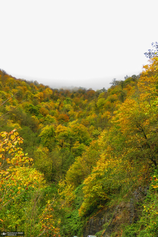 آبشار لونک دیلمان