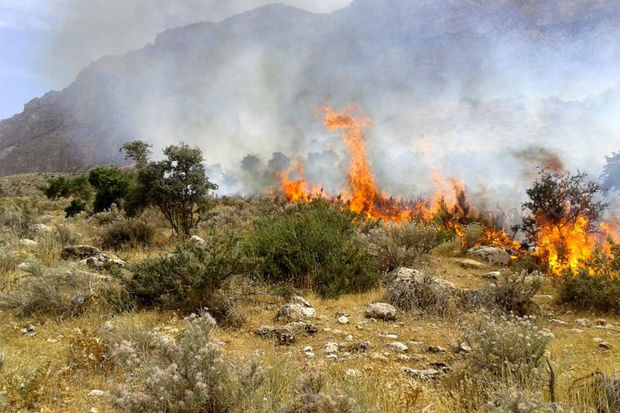 آتش در جنگلهای منطقه حفاظت شده قلاجه گیلانغرب باز هم شعله ور شد