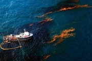 پاکسازی آلودگی نفتی خلیج فارس با موفقیت انجام شد