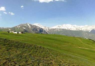 منابع طبیعی دامغان با کمبود نیروی حفاظتی مواجه است