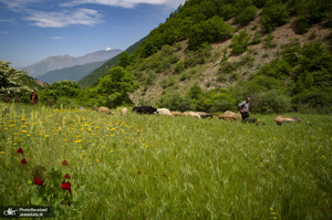 منتخب تصاویر امروز جهان- 1 خرداد  1400