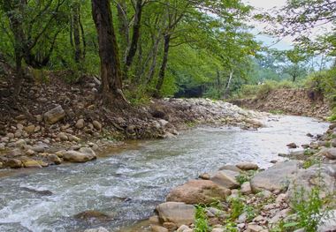 مدیریت نامناسب پارک جنگلی در برخی مناطق گلستان مشکل آفرین شد