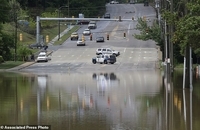 سیل کارولینا