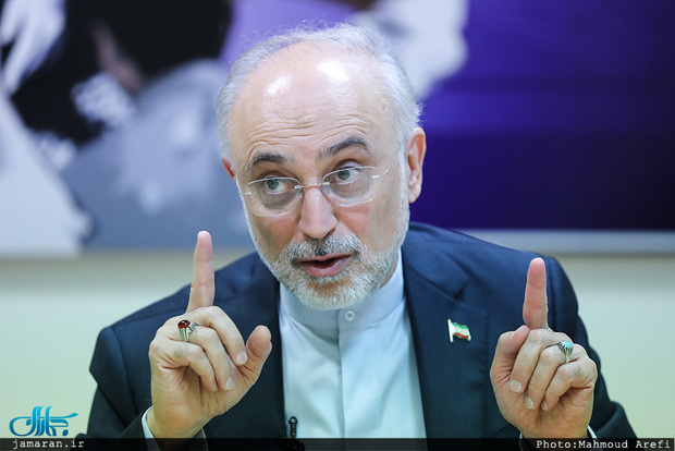 صالحی: مذاکرات وین خوب جلو می‌رود/ دست ایران بسیار پر است