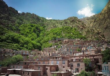 25 درصد گونه های گیاهی کشور در کردستان وجود دارد