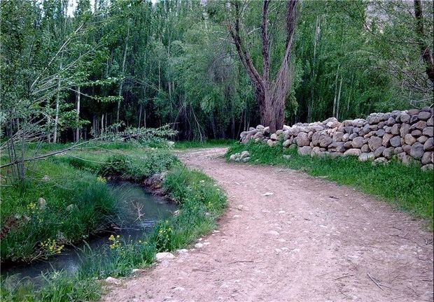 «وِنایی» مصداق تحقق روستای بدون بیکار