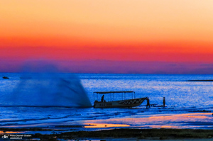 پارک زیتون قشم