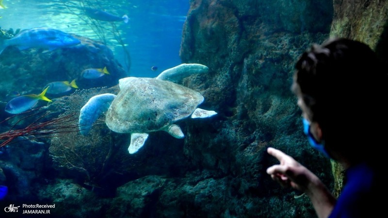 منتخب تصاویر امروز جهان-7 خرداد 1400