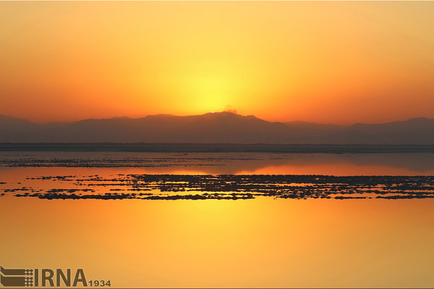 نوستالژی آب، نمک و آرتمیا در دریاچه ارومیه