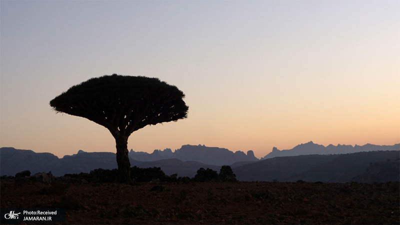 منتخب تصاویر امروز جهان- 17 خرداد 1400