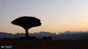 منتخب تصاویر امروز جهان- 17 خرداد 1400