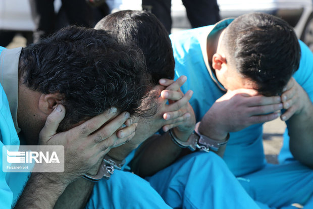 دستگیری اعضای باند سارقان منزل در همدان