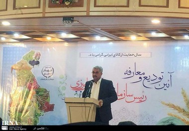 خشکسالی247 میلیارد تومان خسارت به کشاورزان سیستان وارد کرد