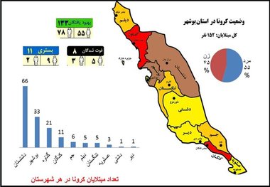 جولان کرونا در شهرهای بزرگ استان بوشهر  هیچ نقطه سفیدی نداریم