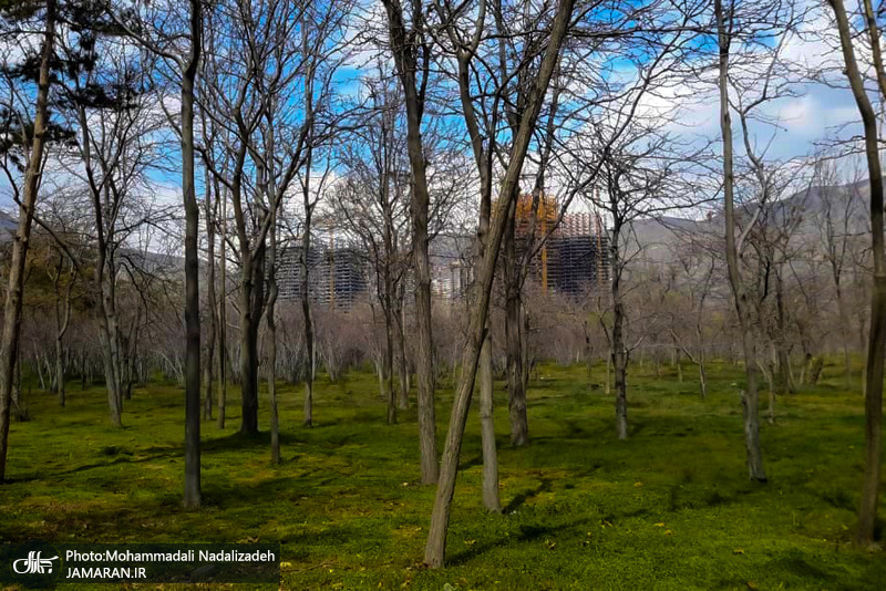 باغ گیاه شناسی ملی ایران