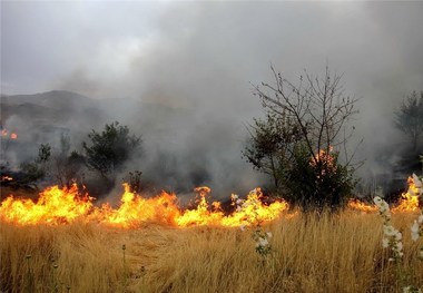 آتش بی‌احتیاطی گردشگران به جان نحیف مراتع مهریز افتاد