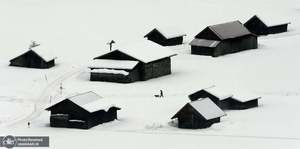 منتخب تصاویر امروز جهان- 10 بهمن