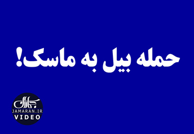 حمله بیل به ماسک!