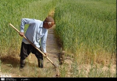 بارش باران بهاری و موج شادی در میان کشاورزان سبزواری