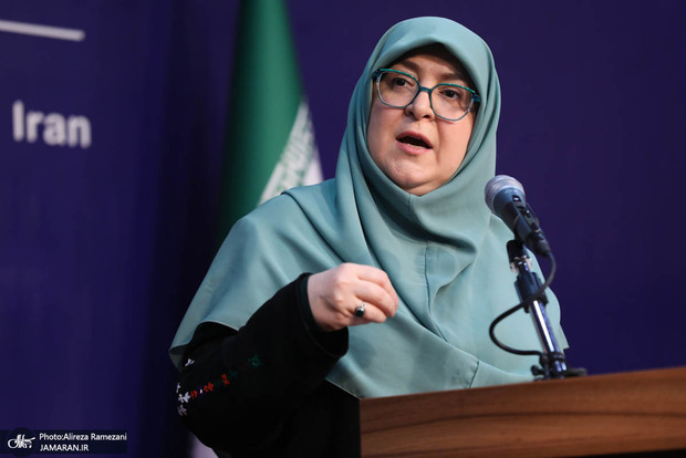 سخنگوی دولت:  صاحب تصمیم برای قطع یا وصل شدن اینترنت نهادهای امنیتی هستند/ تلاش ما بر حل موضوعات با دیپلماسی است/ سایر گزینه‌ها را کنار نگذاشته‌ایم