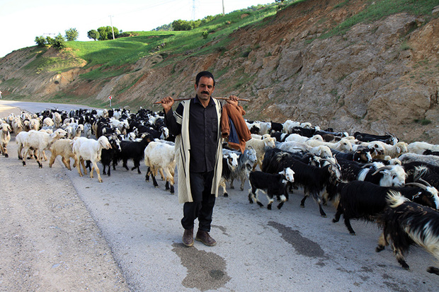 افزون بر21 هزار روستایی یزد زیرپوشش صندوق بیمه کشاورزی هستند