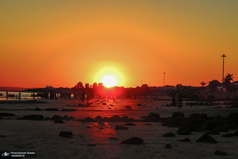 پارک زیتون قشم