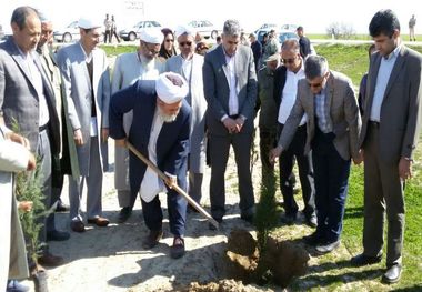 نهالکاری حاشیه جاده های مناطق مرزی گنبدکاووس آغاز شد