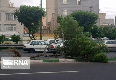 وزش تندباد موقت در تهران پیش‌بینی می‌شود