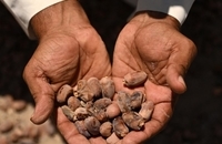 حمله خشکسالی شدید به عراق (3)