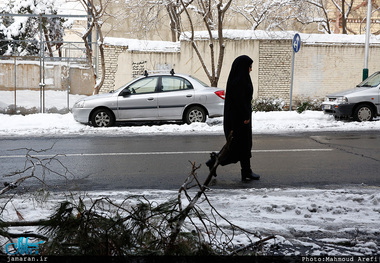 عملیات‌های آتش‌نشانی برای قطع درختان شکسته تهران/ عکس