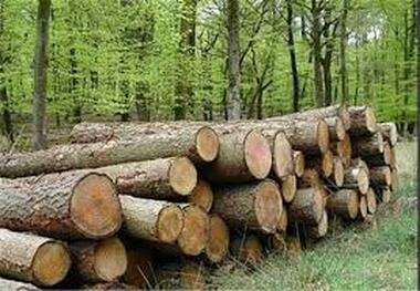 کشف ۴۰ تن چوب قاچاق در شهرستان میانه