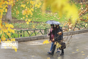 ۵۳ درصد بارش‌های باران در آذرماه امسال تهران کاهش یافت