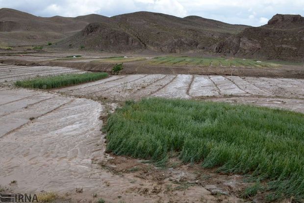 سیلاب ۱۷ میلیارد ریال به کشاورزی جاجرم خسارت زد