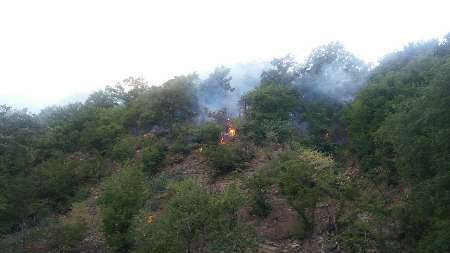 بخشی از جنگل های گالیکش و پارک ملی گلستان طعمه حریق شد