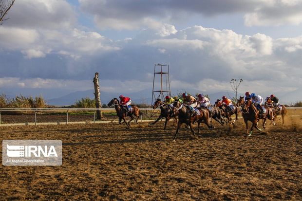 برترین‌های هفته چهارم مسابقات کورس اسب کشور در اهواز مشخص شدند