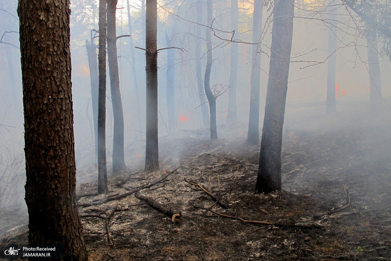 منتخب تصاویر امروز جهان- 29 خرداد